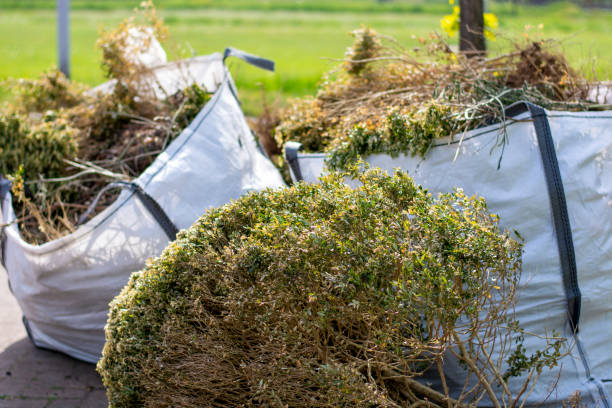 Best Yard Waste Removal  in Cedartown, GA